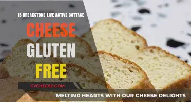 Is Breakstone's Live Active Cottage Cheese Gluten-Free? Find Out Here