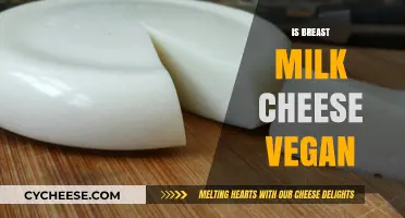 Is Breast Milk Cheese Vegan? Exploring Ethics and Dietary Choices