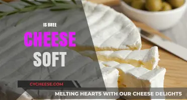 Is Brie Cheese Soft? Texture, Types, and Tasting Tips Explained