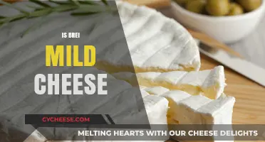 Is Brie Mild Cheese? Exploring Its Flavor, Texture, and Uses