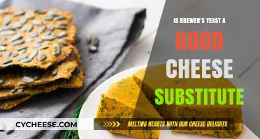 Brewer's Yeast: A Viable Cheese Substitute?