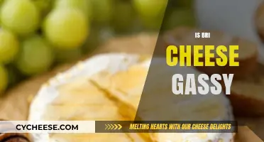 Does Brie Cheese Cause Gas? Uncovering the Truth About Digestive Reactions