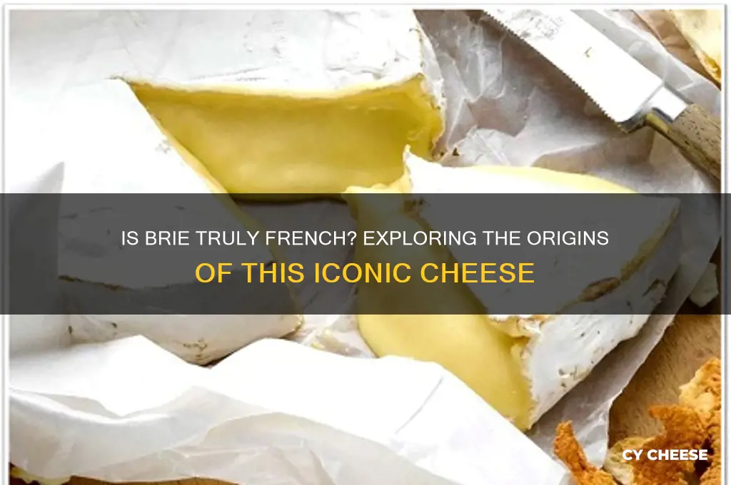 is bri french cheese