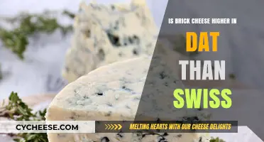 Brick Cheese vs Swiss: Which Has More Fat?