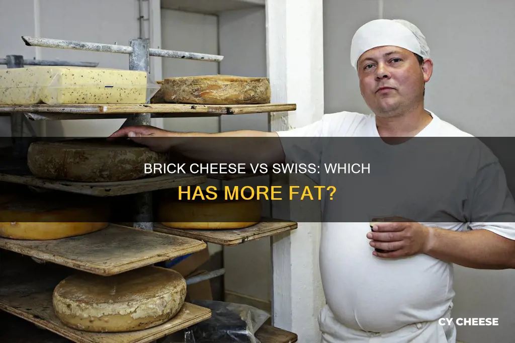 is brick cheese higher in dat than swiss