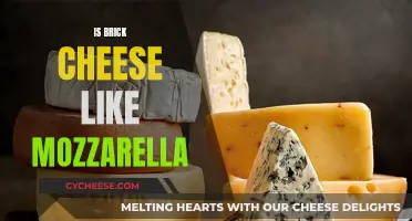 Brick Cheese and Mozzarella: What's the Difference?