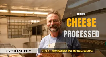 Is Brick Cheese Processed? Uncovering the Truth About Its Production