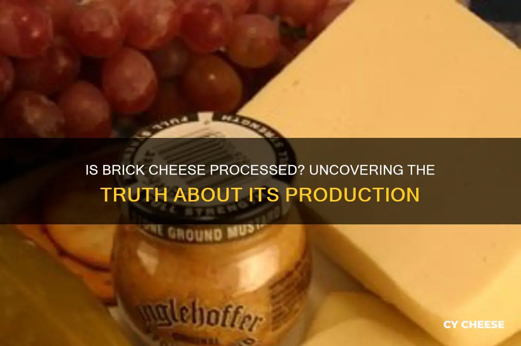 is brick cheese processed