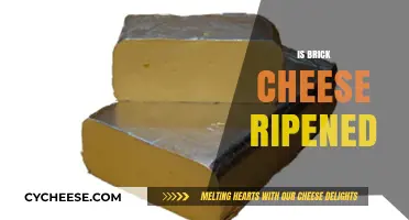 Is Brick Cheese Ripened? Understanding Its Aging Process and Flavor