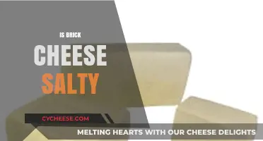 Is Brick Cheese Salty? Exploring Its Unique Flavor Profile