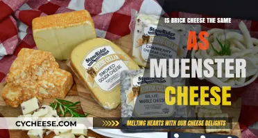 Brick Cheese vs. Muenster: Unraveling the Differences and Similarities