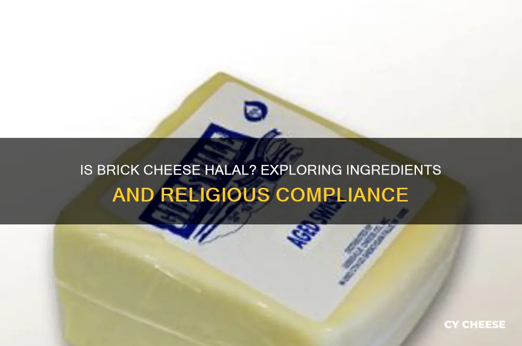 is brick n cheese halal