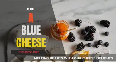 Brie and Blue Cheese: What's the Difference?