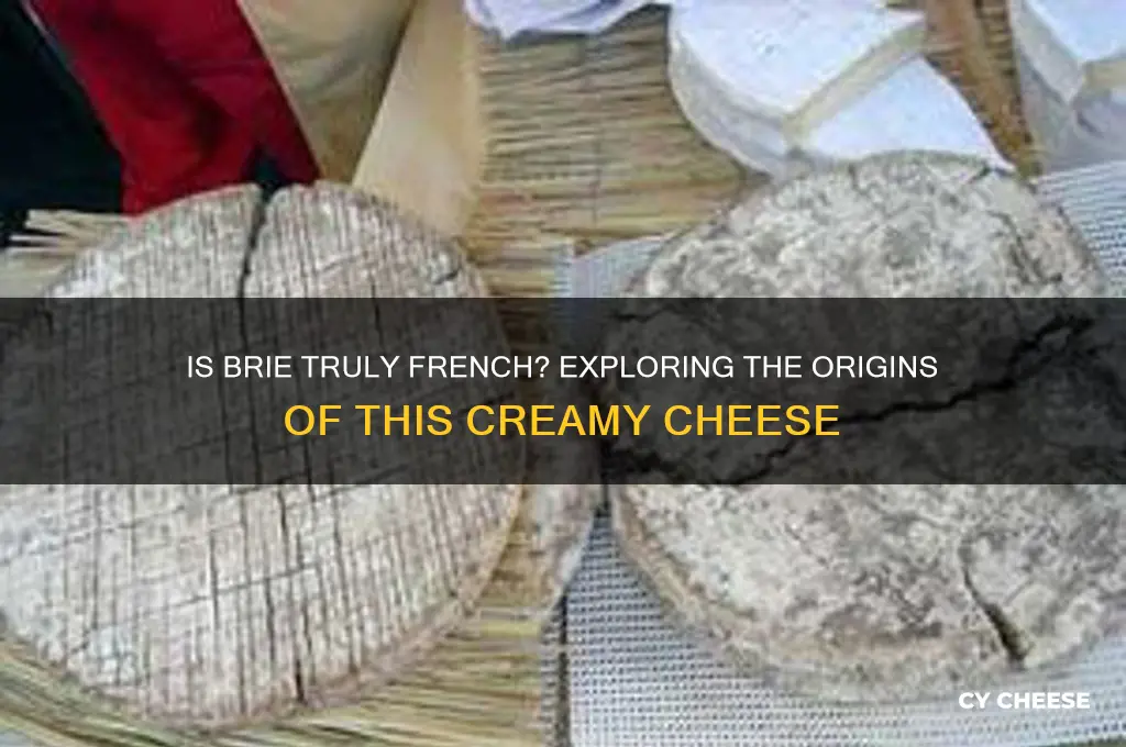 is brie a french cheese
