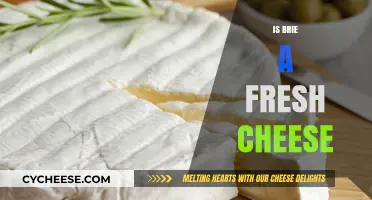 Is Brie a Fresh Cheese? Unraveling the Creamy Mystery