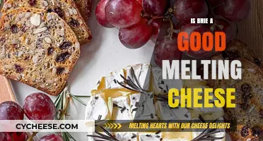 Brie: Melting Magic or Messy Mishap?