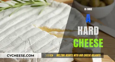 Is Brie a Hard Cheese? Exploring Its Texture and Classification