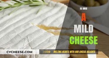 Is Brie a Mild Cheese? Exploring Its Flavor and Texture