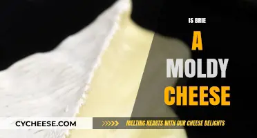 Is Brie Moldy? Understanding the White Rind on This Cheese