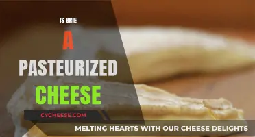 Is Brie Pasteurized? Understanding Cheese Safety and Production