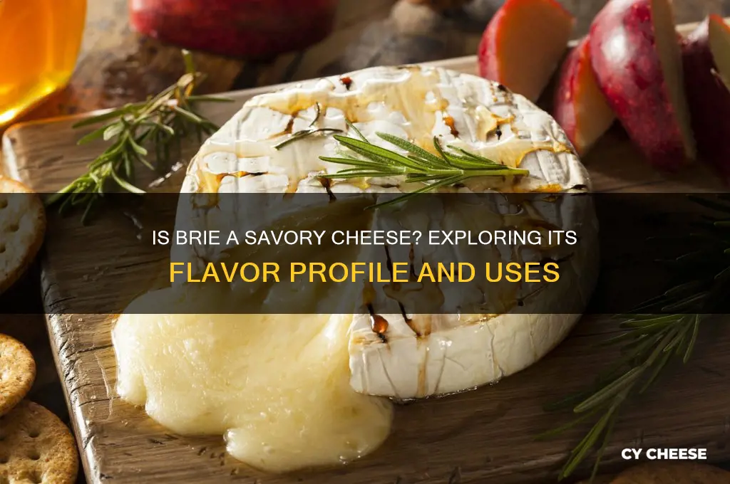 is brie a savory cheese
