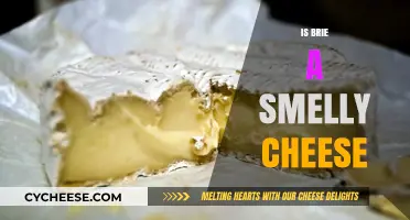 Is Brie a Smelly Cheese? Exploring Its Aroma and Appeal