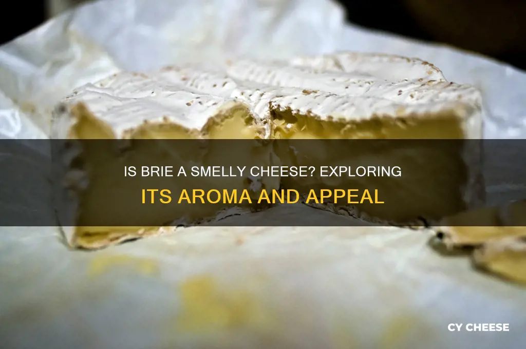 is brie a smelly cheese
