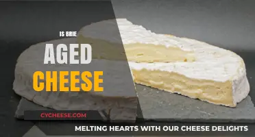 Is Brie Aged Cheese? Unraveling the Creamy Mystery of Brie's Aging Process