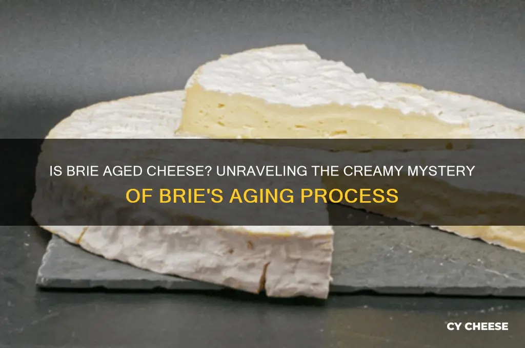 is brie aged cheese