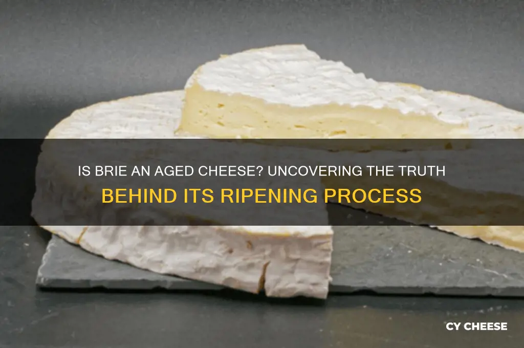 is brie an aged cheese