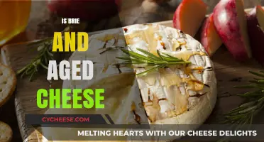 Brie and Aged Cheese: Exploring the Differences and Similarities