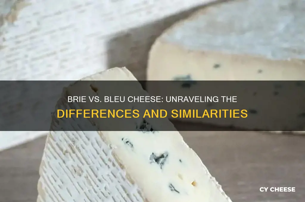 is brie bleu cheese