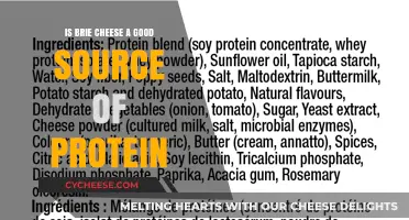Brie Cheese: A Surprising Source of Protein?