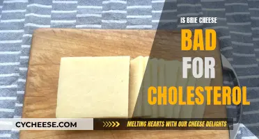 Brie Cheese and Cholesterol: What's the Connection?
