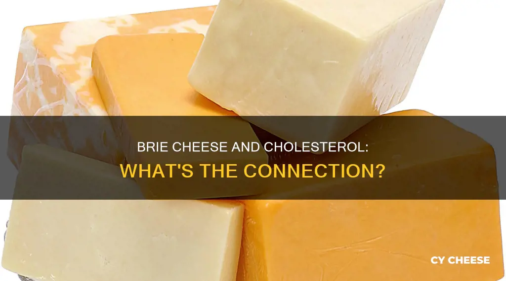 is brie cheese bad for cholesterol