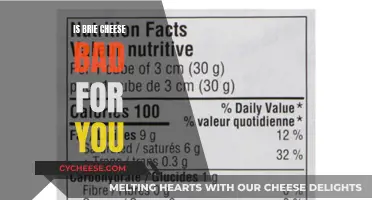 Brie Cheese: Healthy or Harmful?