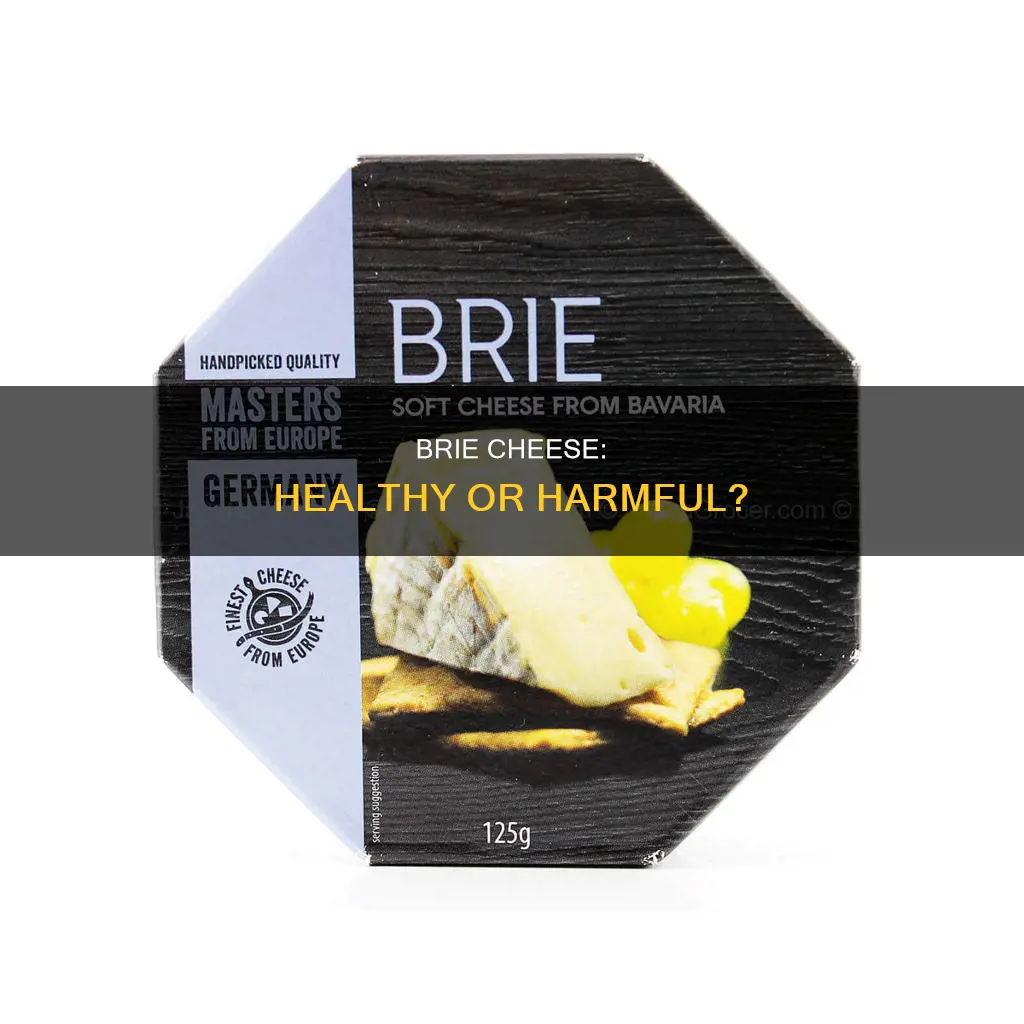 is brie cheese bad for you