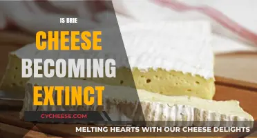 Is Brie Cheese Disappearing? Exploring the Future of This Classic Cheese