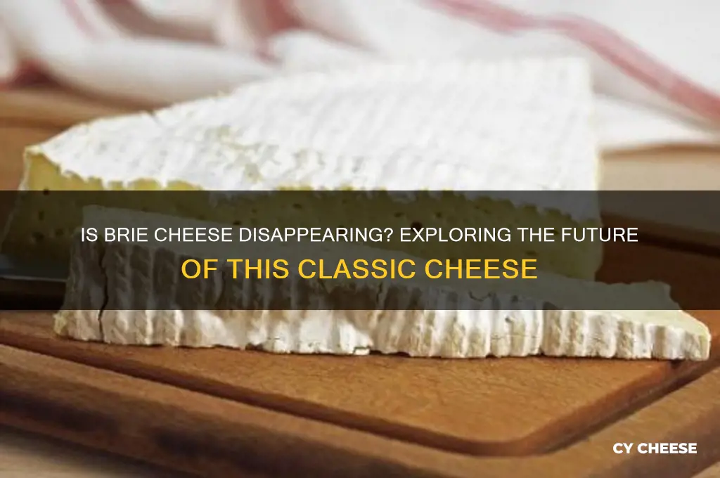 is brie cheese becoming extinct