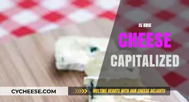 Is Brie Cheese Capitalized? Unraveling the Dairy Naming Dilemma