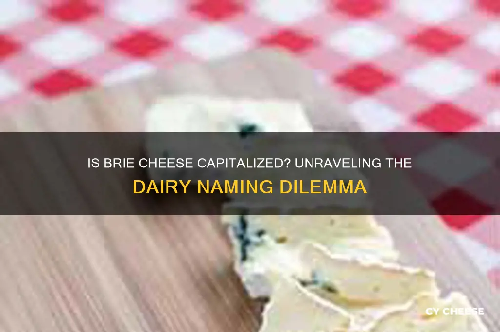 is brie cheese capitalized