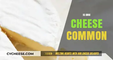 Is Brie Cheese Common? Exploring Its Popularity and Availability Worldwide
