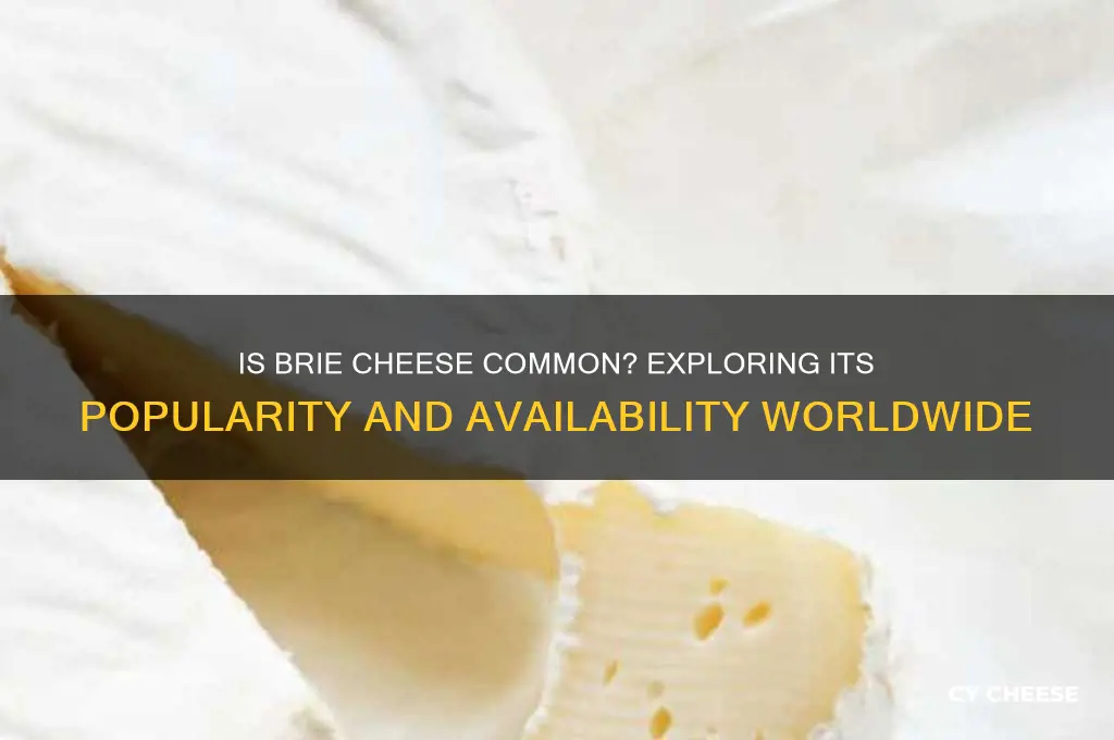 is brie cheese common