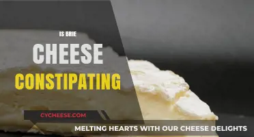 Does Brie Cheese Cause Constipation? Unraveling the Dairy Dilemma