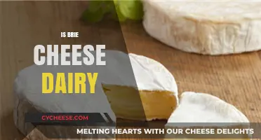 Is Brie Cheese Dairy? Unraveling the Truth About This Creamy Delight