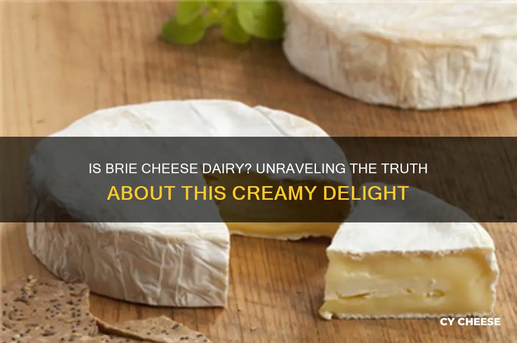 is brie cheese dairy