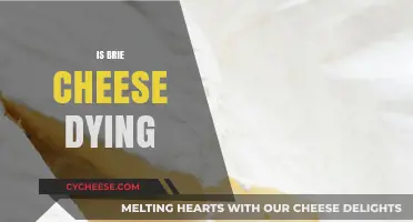 Is Brie Cheese Disappearing? Exploring the Future of This Classic Cheese