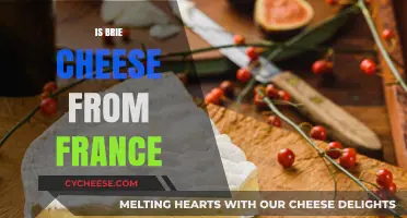 Is Brie Cheese Truly French? Exploring Its Origins and Authenticity