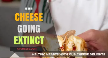 Is Brie Cheese Disappearing? Exploring the Future of This French Delight