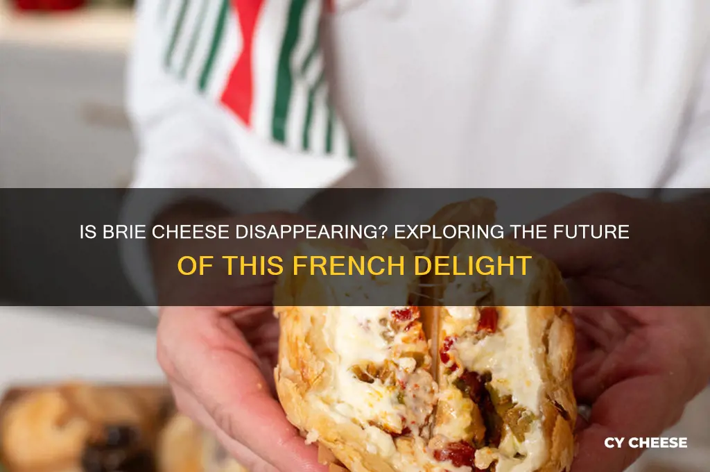 is brie cheese going extinct